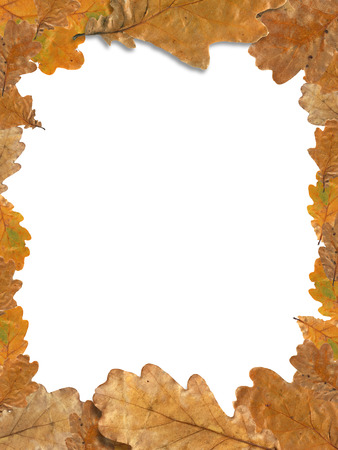 Nice picture frame made from dry oak leavesの写真素材