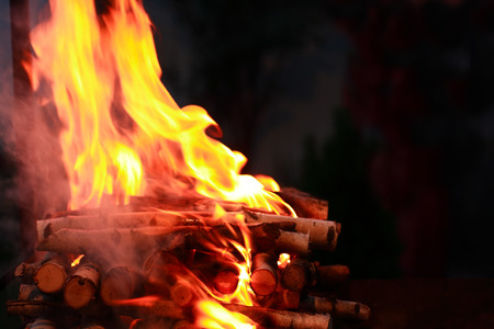 Flame background. Firewood closeup burning on dark background