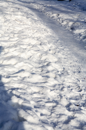 Winter background with footpath across snowの写真素材