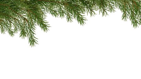 Christmas decoration. Fir twigs as border on white backgroundの写真素材