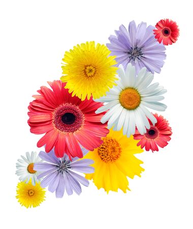 Nice vignette made from variety flowers on white backgroundの写真素材