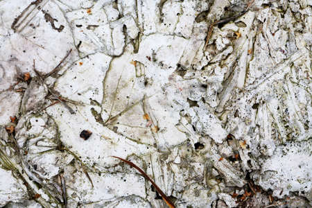 Nice abstract natural gray stones backgroundの写真素材