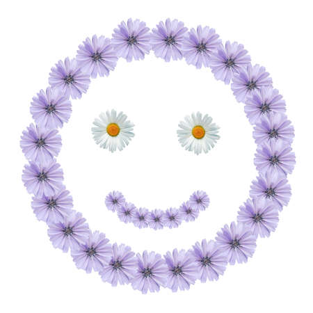 Smile icon made from blue and white daisy flowers on white background