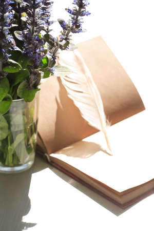 Still life with open book and quill pen near posy of wildflowersの写真素材