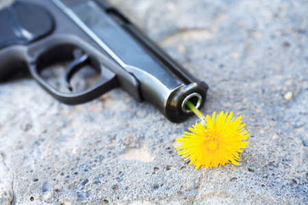 Symbol of disarmament. Nice yellow dandelion in the barrel of a gunの写真素材