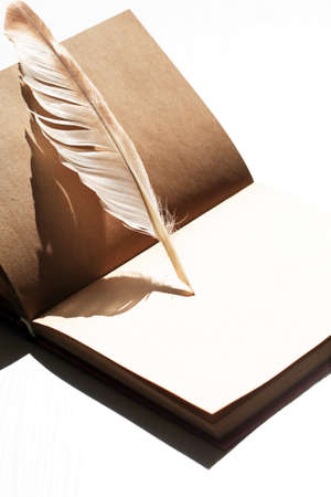 Still life with open book and quill pen under sun lightの写真素材