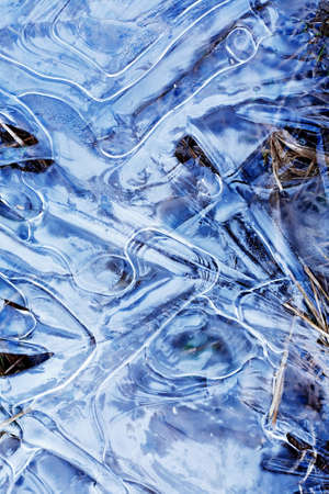 Spring or fall concept. yellow dry grass under nice blue ice surfaceの写真素材