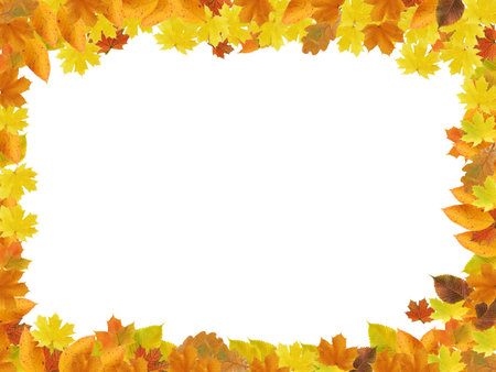 Nice picture frame made from lot of autumn leavesの写真素材