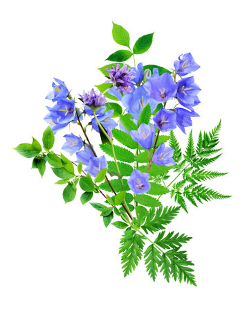 Nice bouquet of wild flowers on white backgroundの写真素材