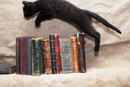 Small black kitten jumps over a stack of booksの写真素材