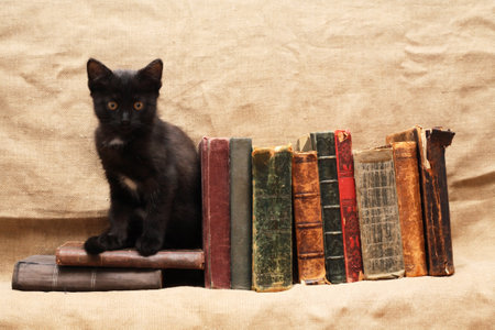 Small black kitten near old books on canvas backgroundの写真素材