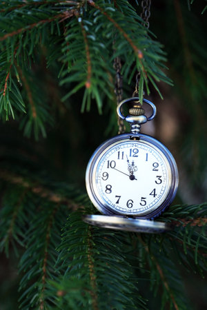 Christmas time. Pocket watch hanging on a fir treeの写真素材