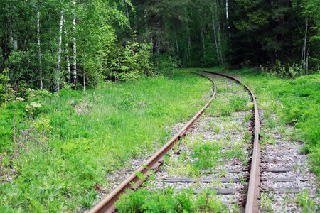 An abandoned old railway in the middle of the forestの写真素材