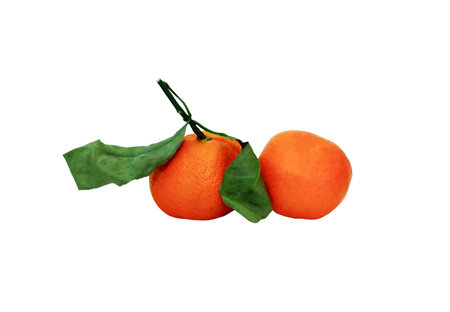 Two ripe tangerines with leaves isolated on white backgroundの写真素材