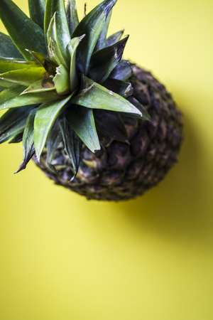 Green bright monophonic background. Tropical fruit pineapple. Summer and exotic. Vitamins and useful fruit.の写真素材
