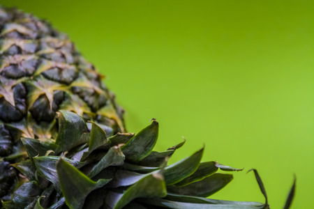 Slices of the fresh and cut pineapple on monophonic and bright background. Tropical, citrus fruit. A natural product for health. Exotic.の写真素材