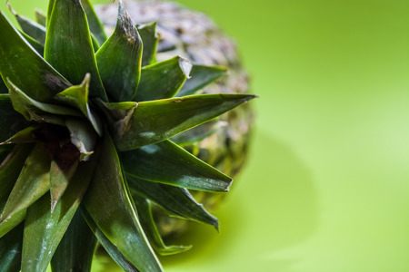 Slices of the fresh and cut pineapple on monophonic and bright background. Tropical, citrus fruit. A natural product for health. Exotic.の写真素材