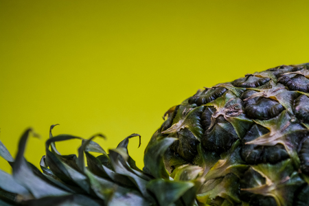 Slices of the fresh and cut pineapple on monophonic and bright background. Tropical, citrus fruit. A natural product for health. Exotic.の写真素材