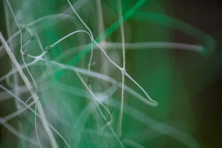 Abstract gray-green background from plastic pro-wolves with the chaotic, indistinct and uneven, twirled lines with bokehの写真素材