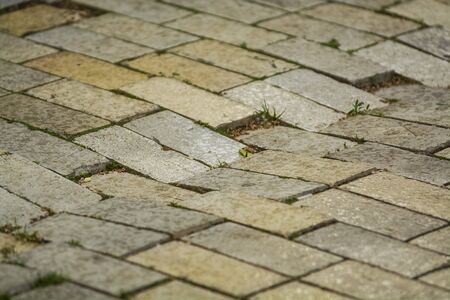Background or texture from a broken and equal tile with patches of light and drops. Stone blocks on the sidewalkの写真素材