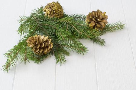spruce branches with golden cones on a white wooden table. meeting of Christmas and New Year.の写真素材