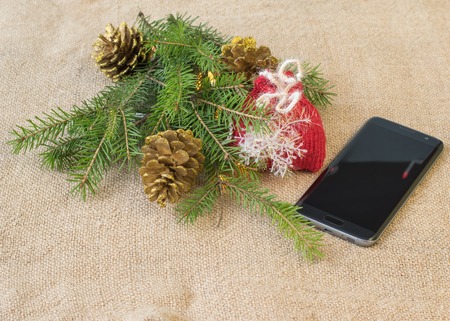 fir branch and golden cones on sacking bag. New Year. Christmas.の写真素材