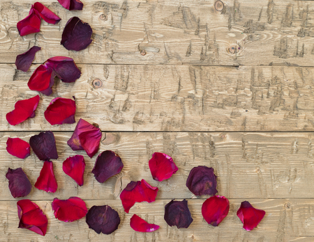Beautiful rose petals on rustic vintage background. Old wooden boards.の写真素材