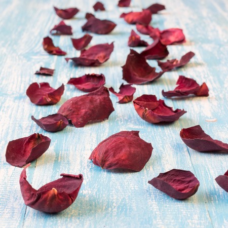Beautiful rose petals on rustic vintage background. Old wooden boards.の写真素材