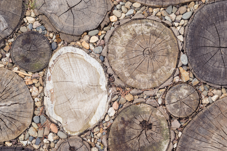 Background of the circumcision of trees driven into the ground. Track of scraps of tree trunks.の写真素材