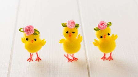 Three toy Chicks on a white wooden table. The decoration of the Easter table. Great Christian holiday.の写真素材