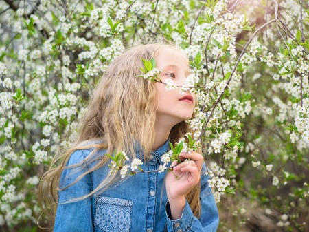 A girl in a denim shirt enjoys the scent of cherry blossoms. Portrait of laughing happy girl.の写真素材