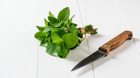 Freshly cut mint bunch with knife on white wooden table. The concept of healthy eating. The use of herbs.の写真素材