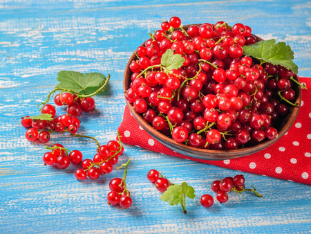 Freshly picked redcurrant berries in a clay bowl on a blue wooden table. The concept of healthy natural food.の写真素材