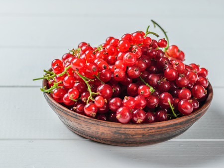 Freshly picked redcurrant berries in a clay bowl on a rustic table. The concept of healthy natural food.の写真素材
