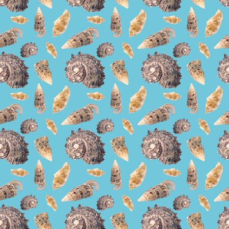 Pattern of a large number of sea shells on a blue background. Beautiful seamless pattern made of shells.の写真素材