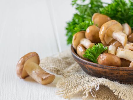Clay bowl with mushrooms on burlap and one separate mushroom on the table. Natural vegetarian cuisine.の写真素材