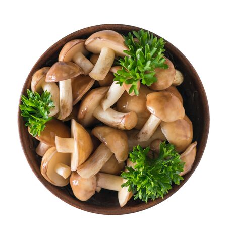 Clay bowl with fresh mushrooms and parsley leaves isolated on white background. The view from the top. Natural vegetarian cuisine.の写真素材
