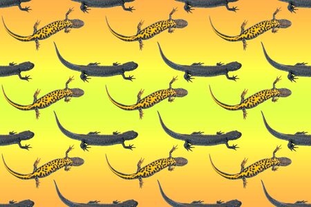 Seamless pattern of creeping newts on a gradient background. Minimalism. Contemporary art collage.の写真素材