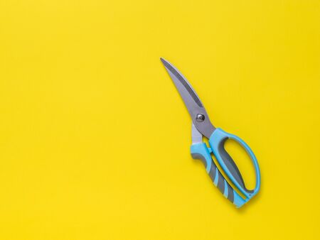 Kitchen scissors on a yellow background. Flat lay. Tool for the kitchen.