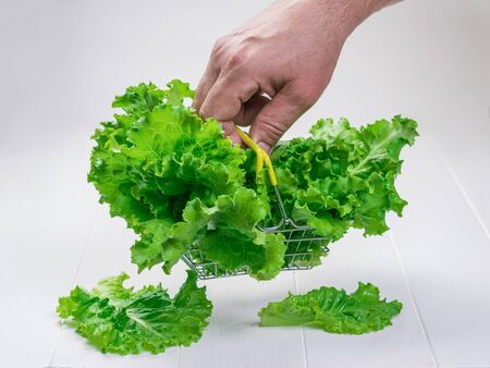 A man holds a food basket with lettuce leaves. Concept of dietary healthy nutrition.の写真素材
