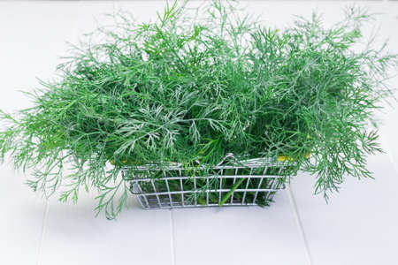 A large amount of dill in an iron basket on a white table close-up. A vegetarian food ingredient.