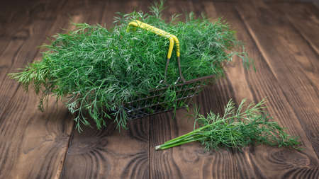 Fresh green dill in a metal basket on a rustic table. A vegetarian food ingredient.の写真素材
