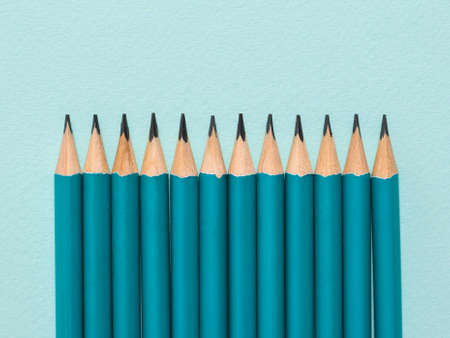 Twelve graphite pencils on a light blue background. Paper and office supplies.