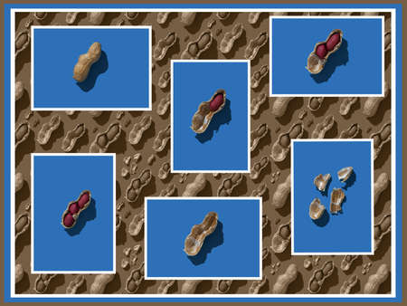 Peanut mood board in blue and yellow colors. Dry roasted peanuts.