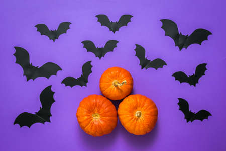 Three pumpkins and a large number of bats on a lilac background. The concept of the Halloween...
