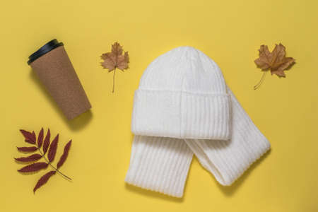 Coffee Cup, scarf, hat and autumn leaves on a yellow background. Autumn mood.の写真素材