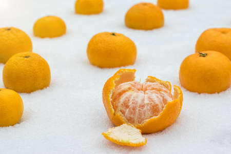 Fresh ripe tangerines scattered on the white snow. Popular citrus fruits.の写真素材