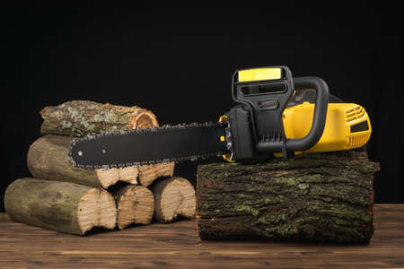 Electric chain saw on a wooden log on the background of sawn trees. Electric tool for wood...
