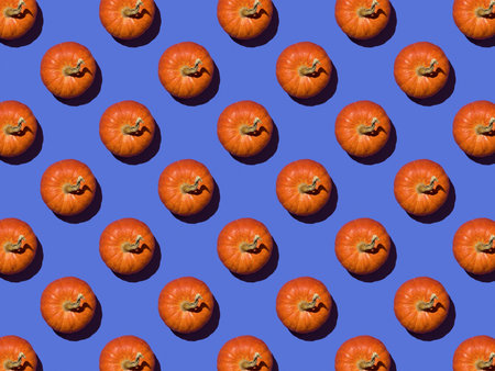A pattern of bright ripe pumpkins on a blue background. A delicious and healthy vegetable.の写真素材