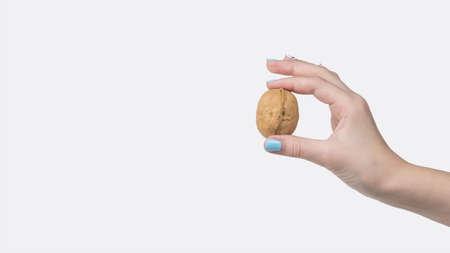 A woman's hand with a large walnut isolated on a white background. A popular type of nuts.の写真素材